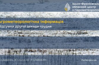 Агрометеорологічна інформація за другу декаду грудня 2024 р