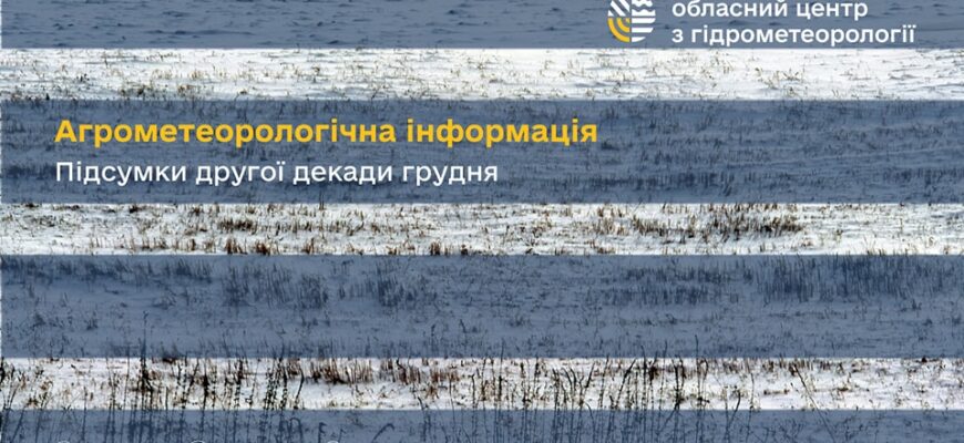 Агрометеорологічна інформація за другу декаду грудня 2024 р