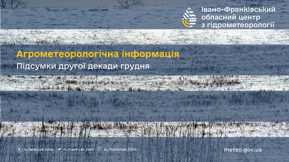 agro 1 - Агрометеорологічна інформація за другу декаду грудня 2024 р - rai.ua