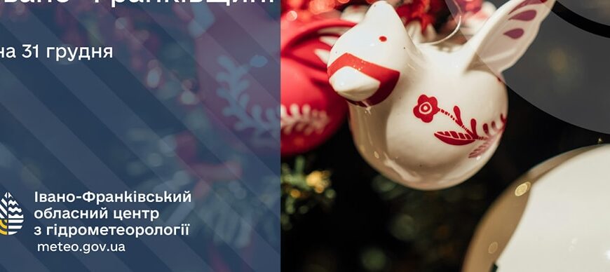 pg 8 e1735571405106 - Прогноз погоди на 31 грудня 2024 року - rai.ua