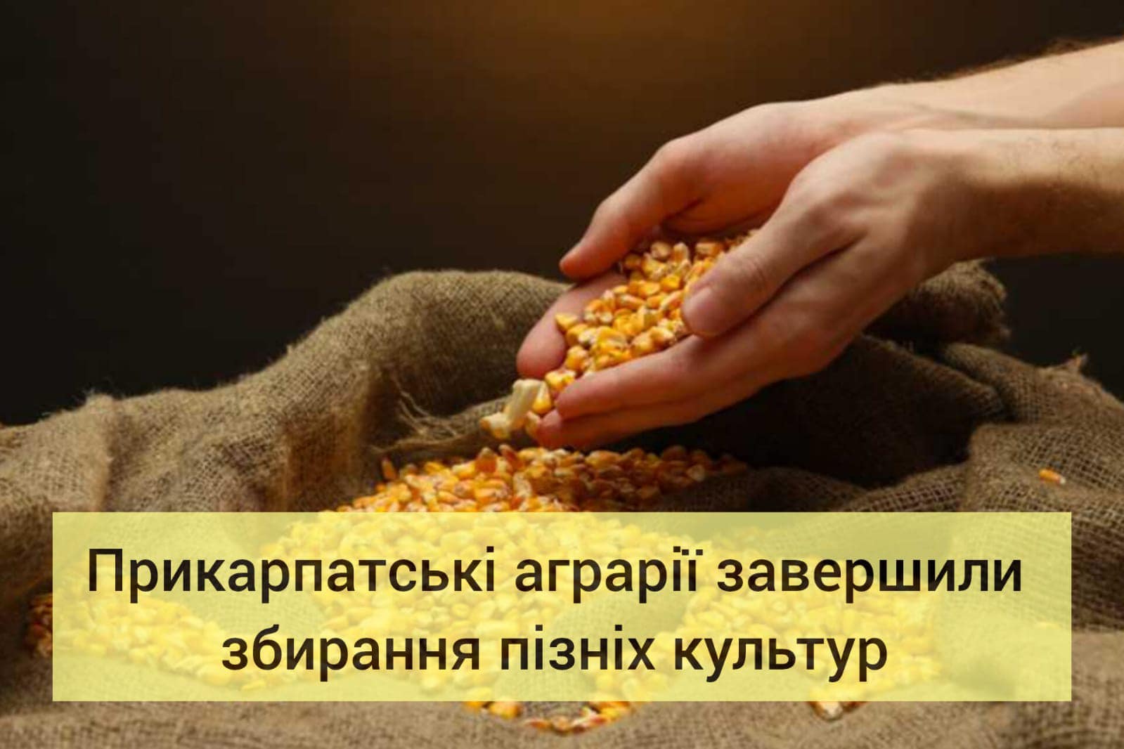 prpri - Прикарпатські аграрії завершили збирання пізніх культур - rai.ua