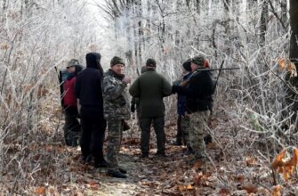 Мисливці Прикарпаття проводять регулювання популяції хижаків. Відео