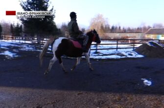 У Косівському районі діє реабілітаційно-відпочинковий табір для захисників. Відео