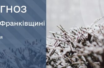 14 e1736778716805 - Прогноз погоди на 14 січня 2025 року - rai.ua