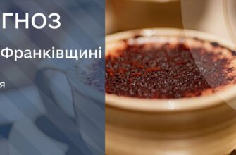 Прогноз погоди на 11 січня 2025 року