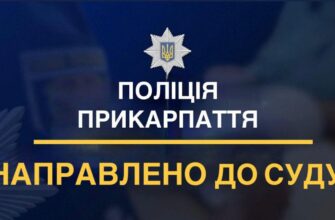 Поліцейські зупинили діяльність крадіїв