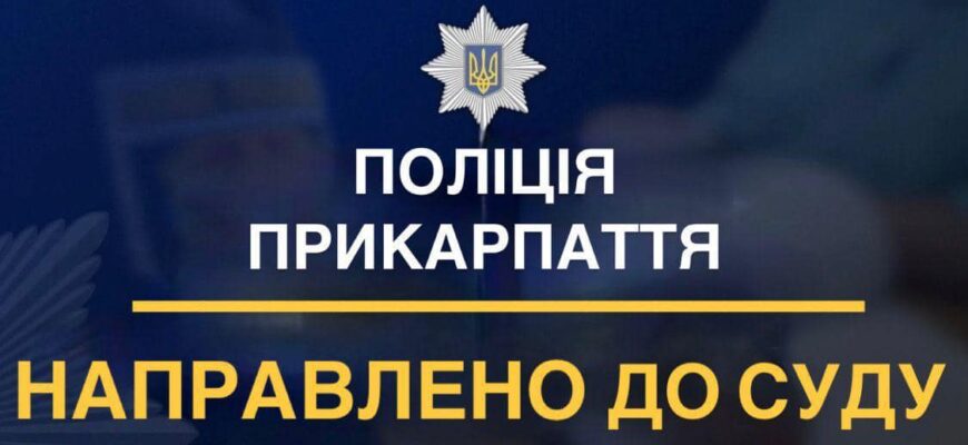 Поліцейські зупинили діяльність крадіїв