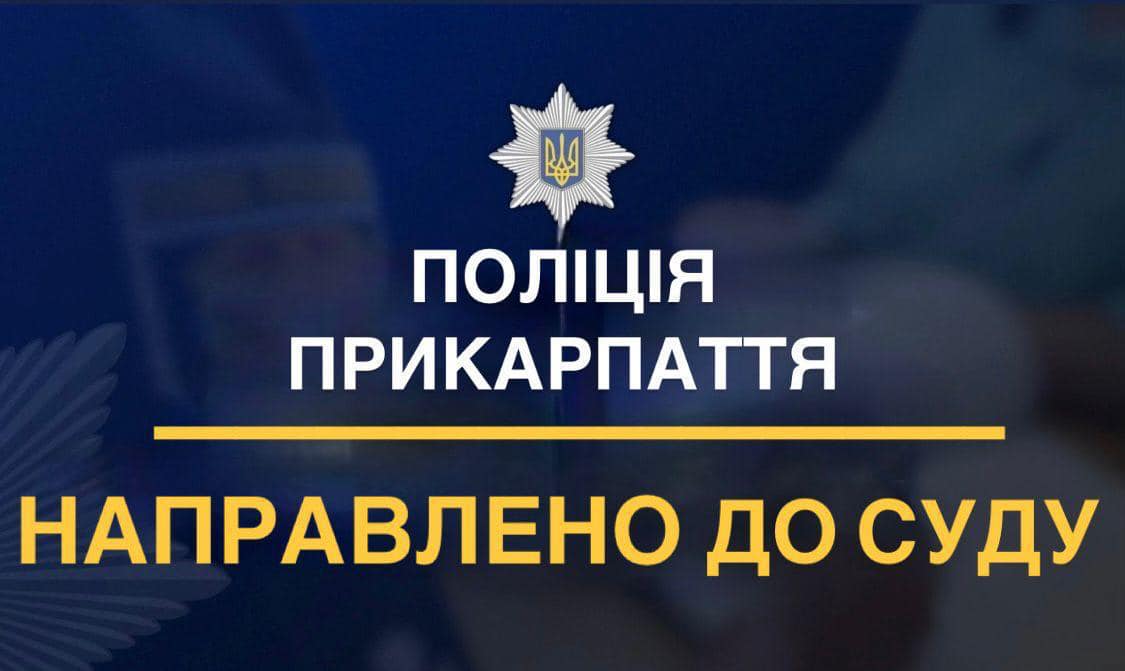 pidd - Поліцейські зупинили діяльність крадіїв - rai.ua