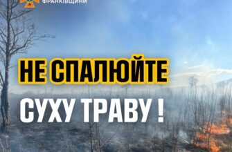 Прикарпатські рятувальники ліквідували 11 пожеж в екосистемах