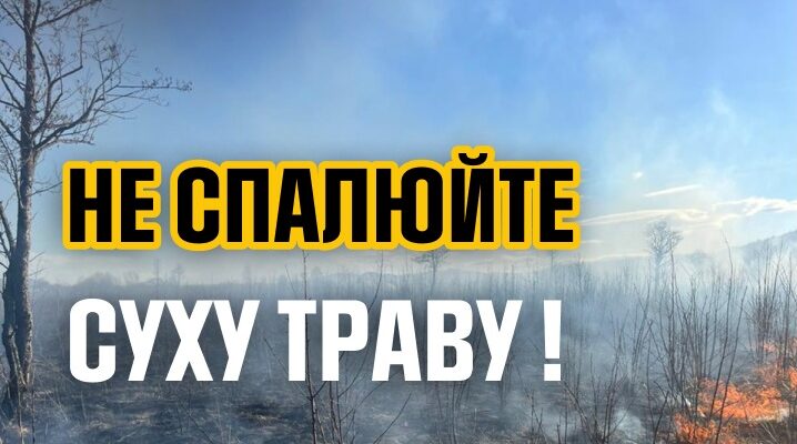 Прикарпатські рятувальники ліквідували 11 пожеж в екосистемах