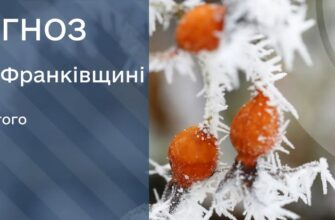 Прогноз погоди на 22 лютого 2025 року