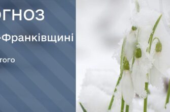 Прогноз погоди на 25 лютого 2025 року