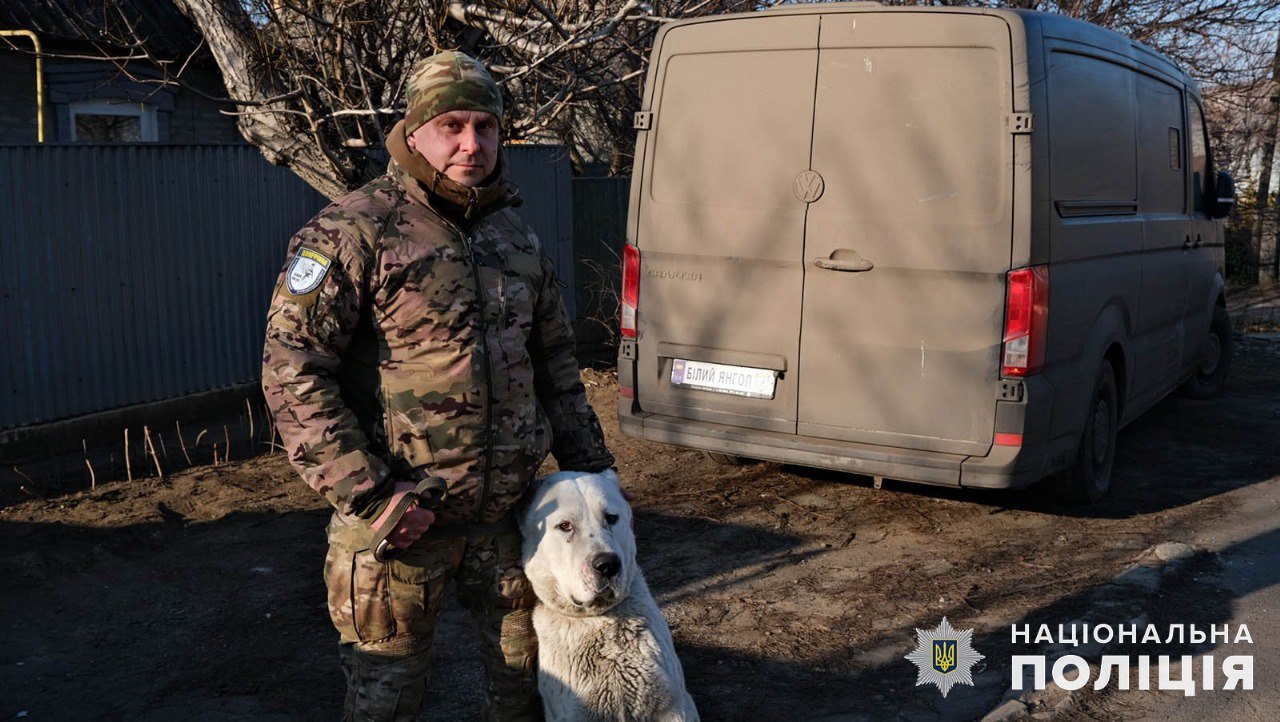 ala 1 - «Білі янголи» врятували з Покровська покинутого алабая - rai.ua