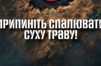 На Прикарпатті вогнеборці ліквідовують пожежі в екосистемах. Фото
