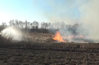 На Прикарпатті побільшало пожеж в екосистемах. Відео