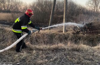 Рятувальники: в Україні горять екосистеми