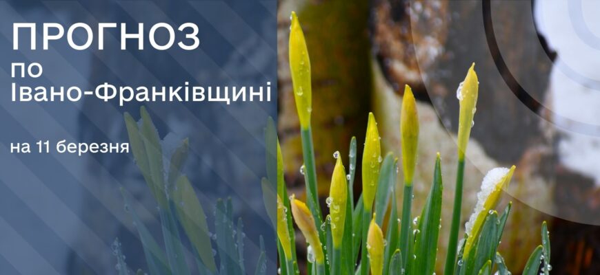 Прогноз погоди на 11 березня 2025 року