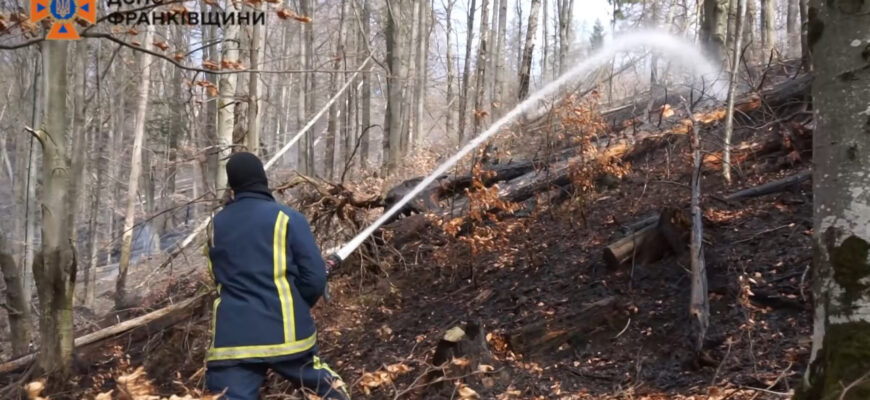 Рятувальники ліквідували 67 пожеж за минулу добу