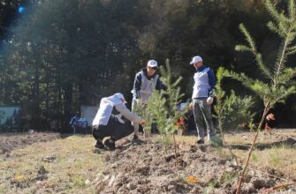 В Івано-Франківську діє акція «Посади дерево в пам’ять воїна». Відео