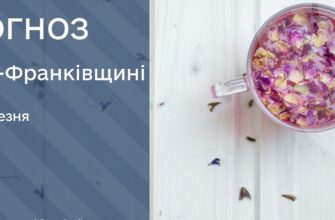 Прогноз погоди на 8 березня 2025 року. Відео