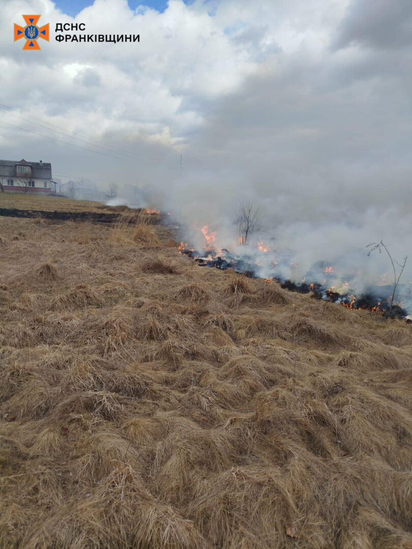 iv3 - До адмінвідповідальності притягнуто 8 паліїв сухої трави - rai.ua