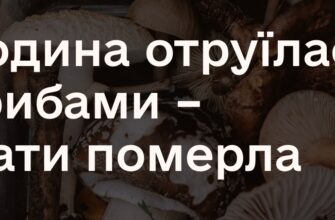 На Буковині родина отруїлася грибами: мати померла, батько й син у лікарні.