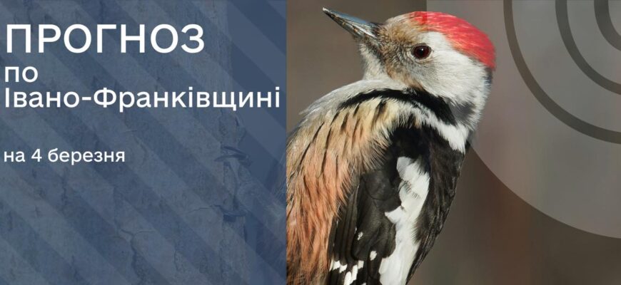Прогноз погоди на 4 березня 2025 року