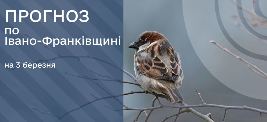 Прогноз погоди на 3 березня 2025 року