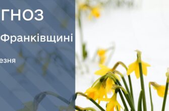 Прогноз погоди на 12 березня 2025 року