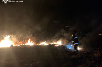 Рятувальники закликають: не паліть сухостій!