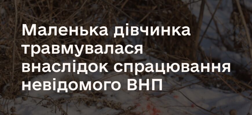 ДСНС України