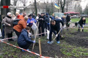 В Івано-Франківську матері героїв створили простір у парку військових ветеранів. Відео