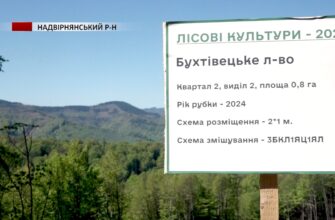 На Надвірнянщині висадили майже чотири тисячі дерев в пам'ять воїнів