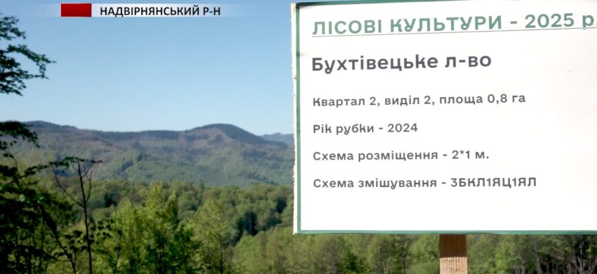 На Надвірнянщині висадили майже чотири тисячі дерев в пам'ять воїнів