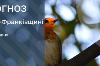 Прогноз погоди на 29 травня 2025 року