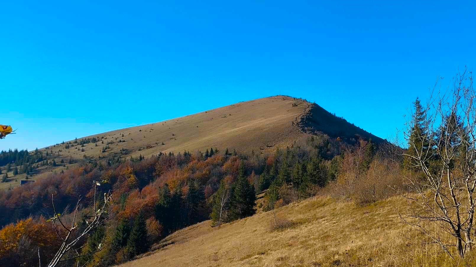 gora5 - Подорожі без меж: гора Парашка - мандрівка на дах Сколівських Бескидів - rai.ua
