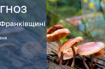 Прогноз погоди на 23 травня 2025 року