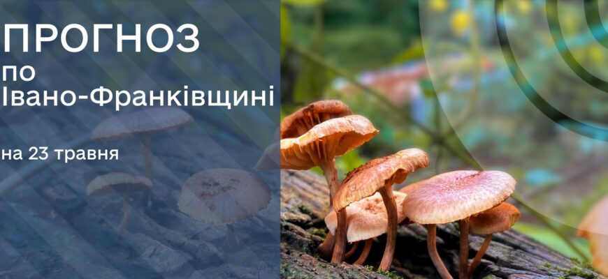 Прогноз погоди на 23 травня 2025 року