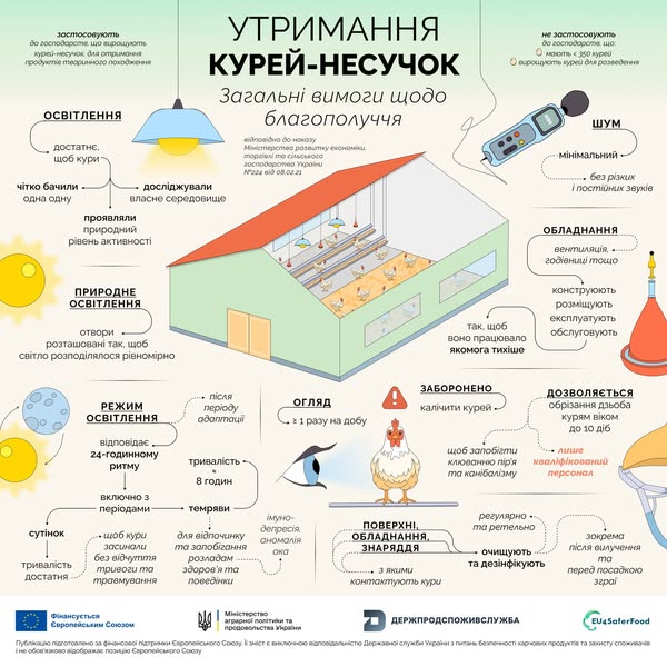 kur - Вимоги до умов утримання курей-несучок - rai.ua