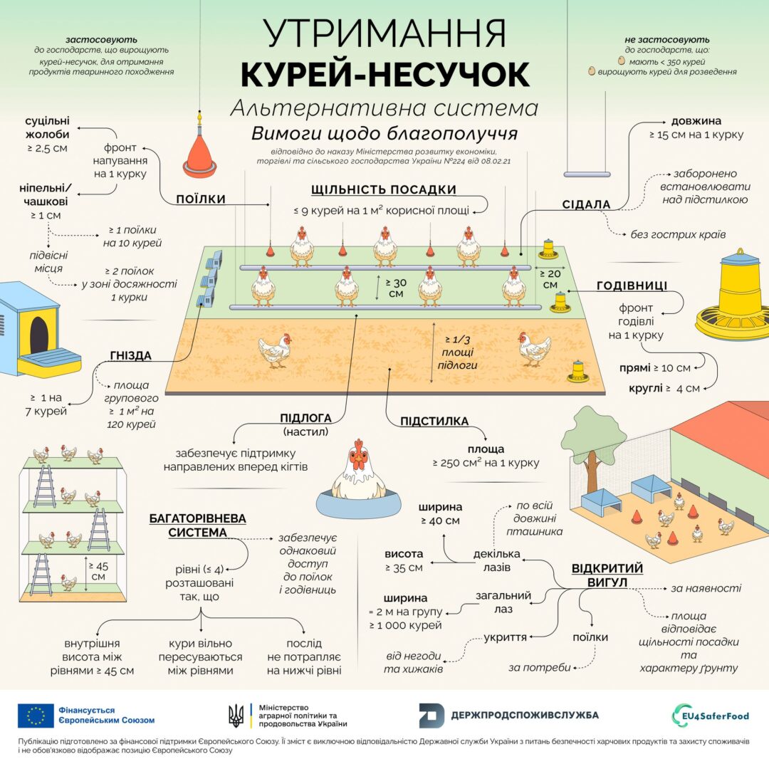 kur2 - Вимоги до умов утримання курей-несучок - rai.ua