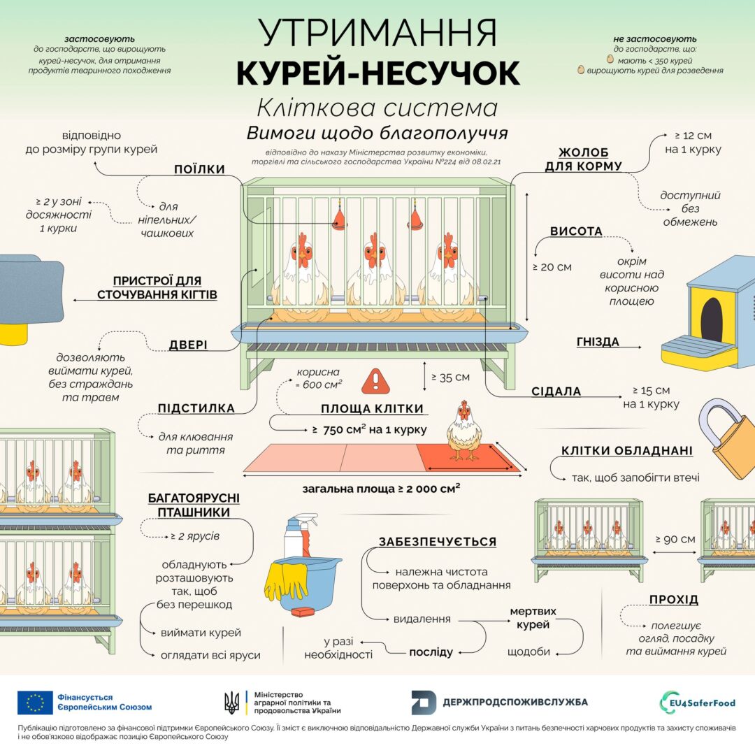 kur3 - Вимоги до умов утримання курей-несучок - rai.ua