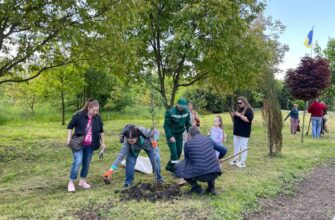 У Калуші на трьох локаціях висадили сакури і декоративні кущі