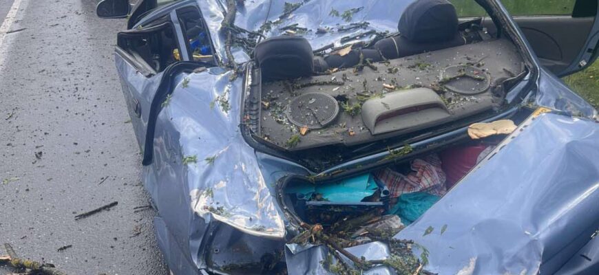 Повалені дерева: прикарпатські рятувальники ліквідовують наслідки негоди