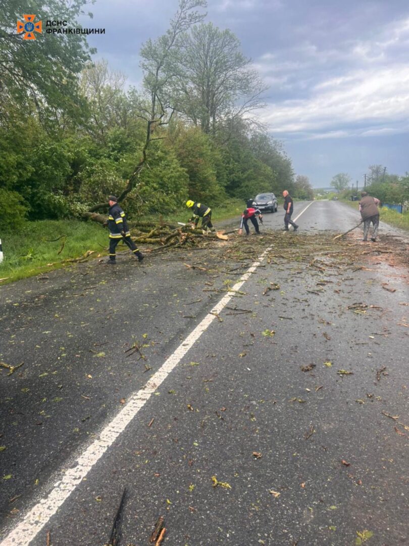 nesh5 - Повалені дерева: прикарпатські рятувальники ліквідовують наслідки негоди - rai.ua