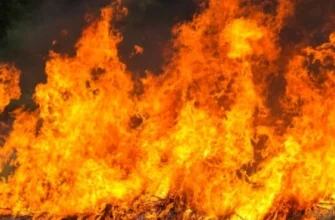 У селі Боднарів під час пожежі загинула жінка