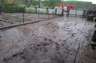 Негода на Рогатинщині: рятувальники ліквідовують наслідки стихії