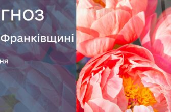 Прогноз погоди на 5 травня 2025 року