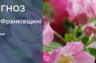 Прогноз погоди на 7 травня 2025 року