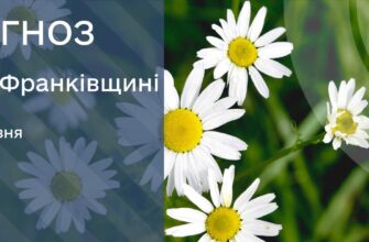 Прогноз погоди на 15 травня 2025 року