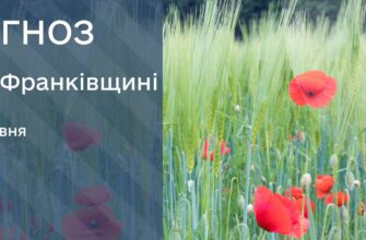 Прогноз погоди на 20 травня 2025 року